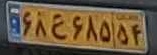 plate image