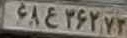 plate image