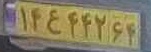 plate image