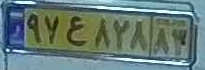 plate image