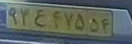 plate image