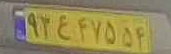 plate image