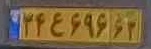 plate image