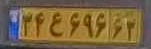 plate image