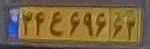 plate image