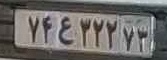 plate image