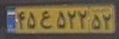plate image