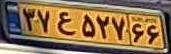 plate image