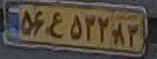 plate image