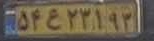 plate image