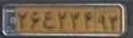 plate image